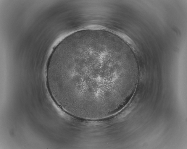 X0000110871430200906181153