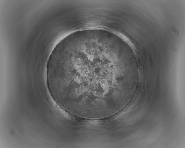 X0000110871431200906181153