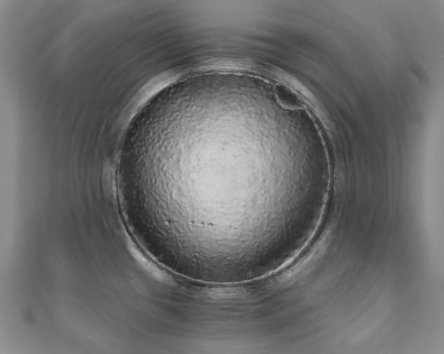 X0000110871433200906181153