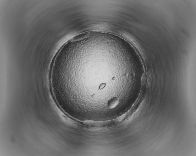 X0000110871434200906181153