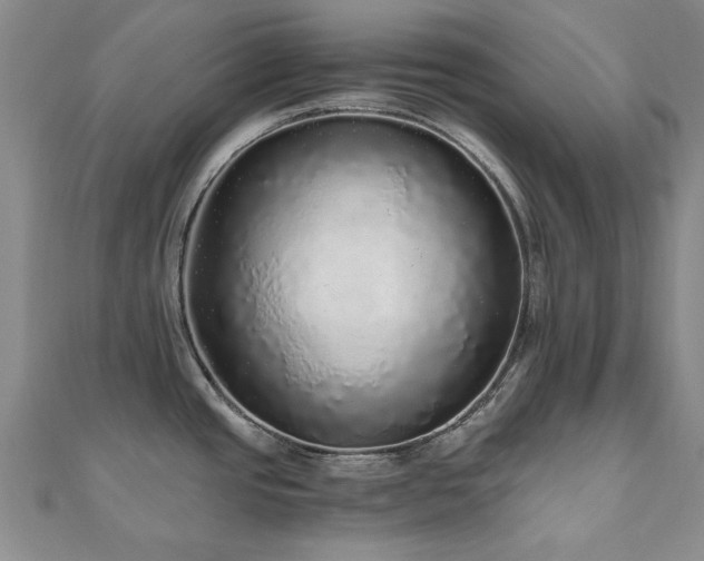 X0000110871437200906181153