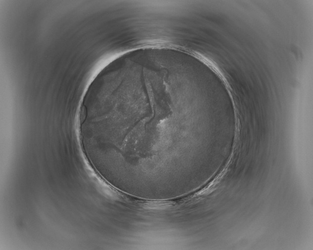 X0000110871440200906181153