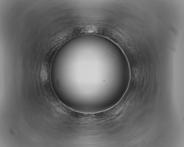 X0000110871442200906181152