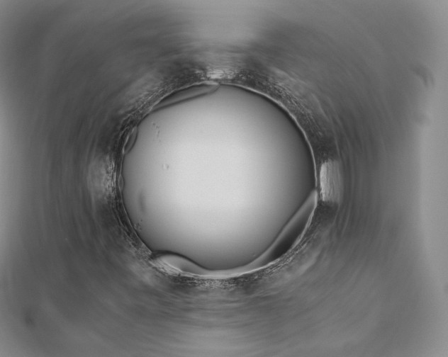 X0000110871443200906181152