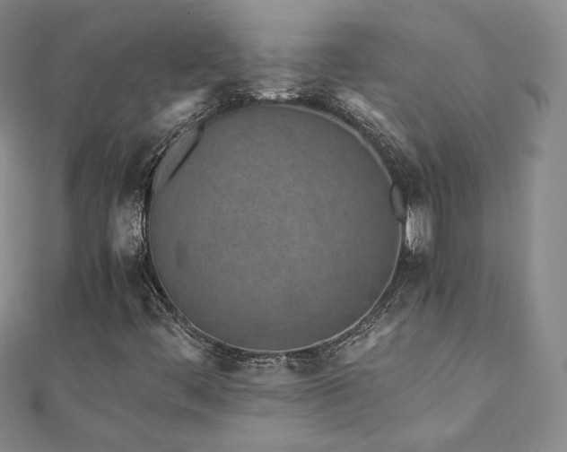 X0000110871444200906181152