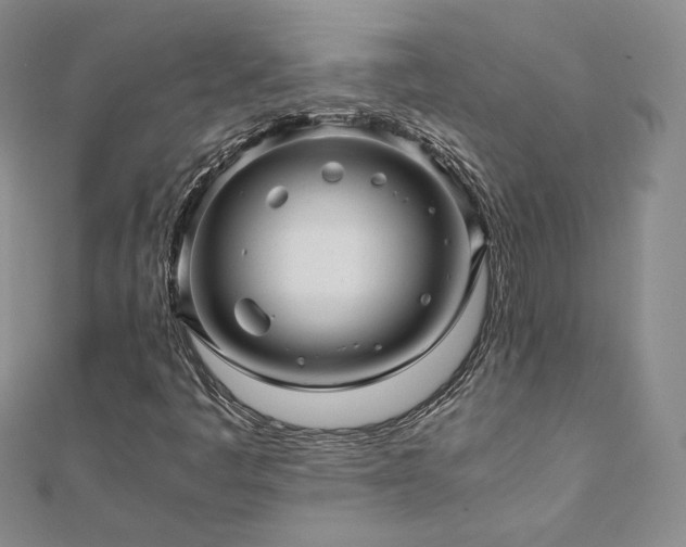 X0000110871445200906181152