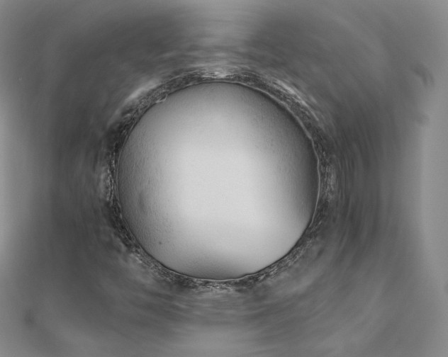 X0000110871446200906181152