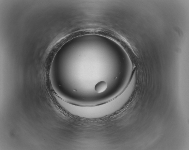 X0000110871448200906181152