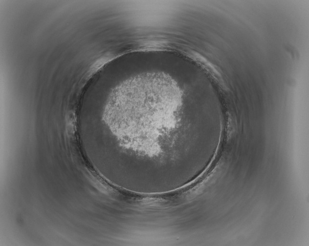 X0000110871449200906181152