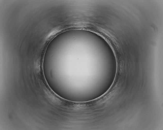 X0000110871451200906181152