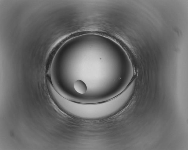 X0000110871452200906181152