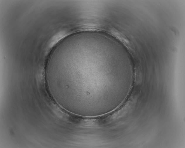 X0000110871453200906181152