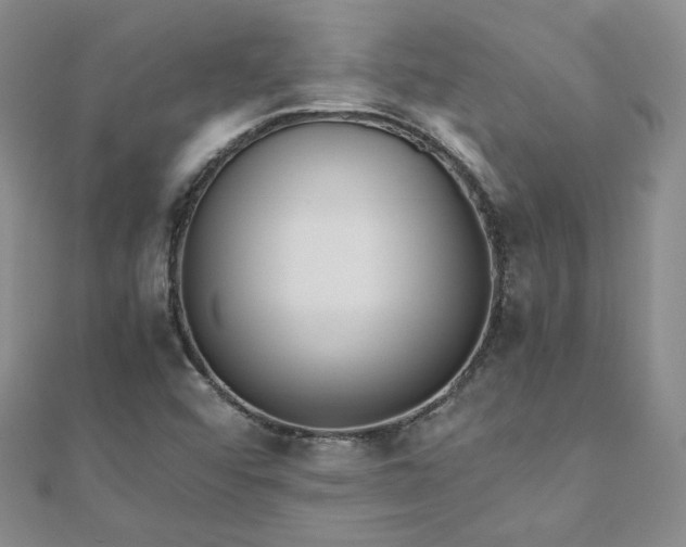 X0000110871456200906181152