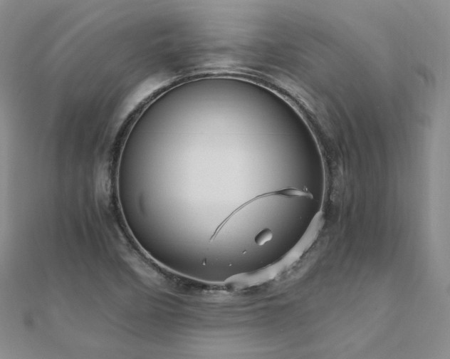 X0000110871458200906181152