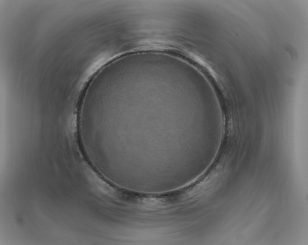 X0000110871459200906181152