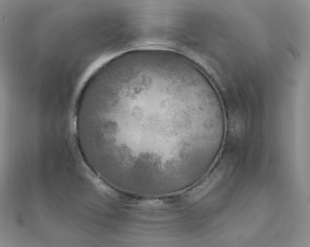 X0000110871462200906181152