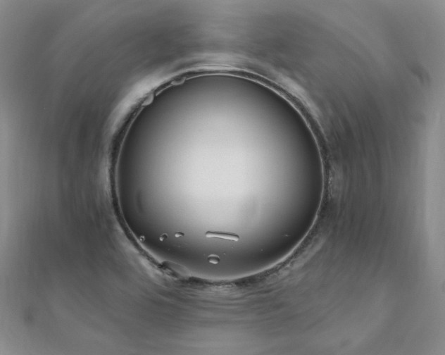 X0000110871464200906181152