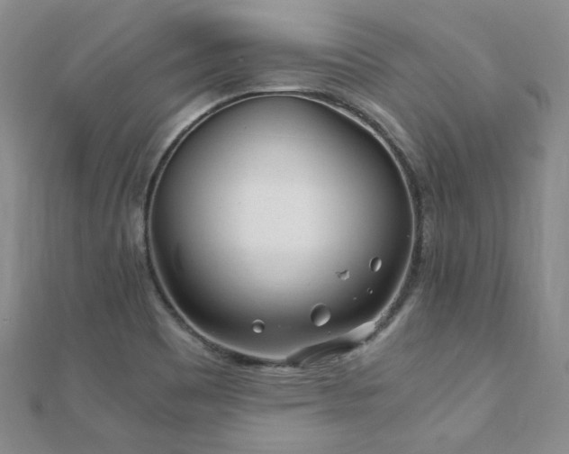 X0000110871465200906181152