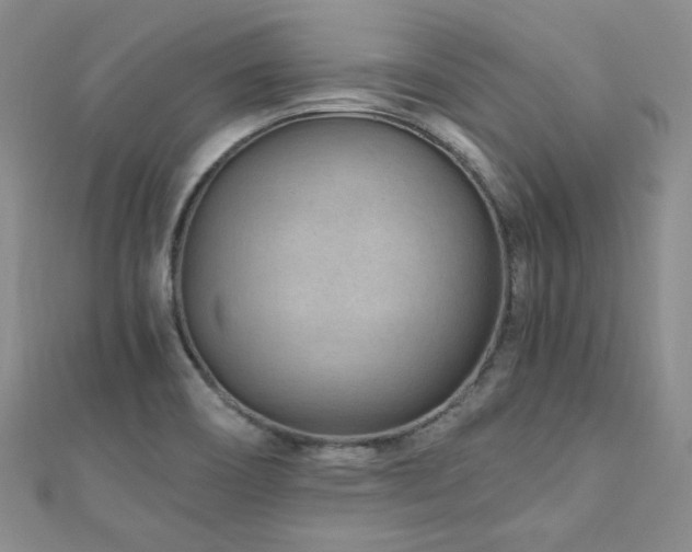 X0000110871466200906181152