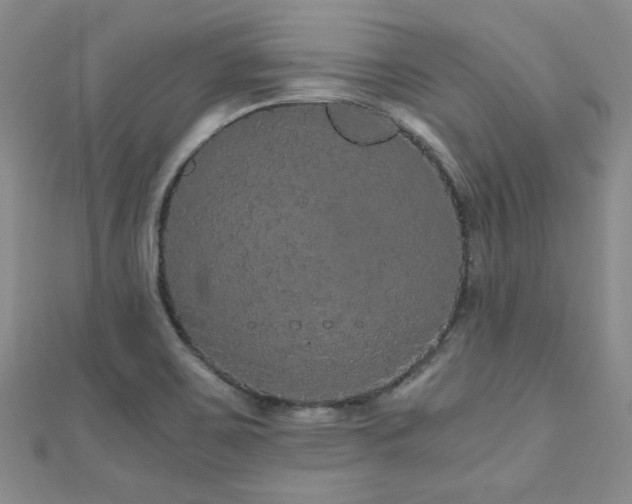 X0000110871467200906181152