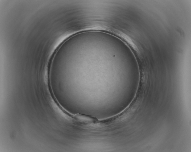 X0000110871468200906181152