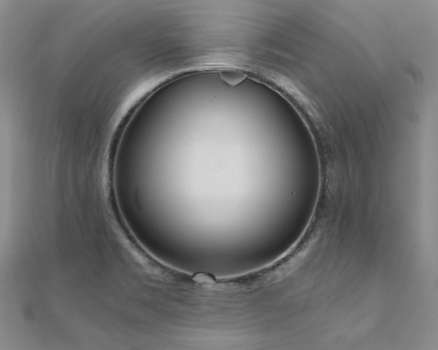 X0000110871469200906181152