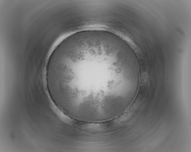 X0000110871470200906181152