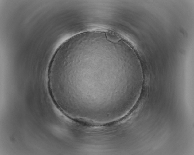 X0000110871471200906181152