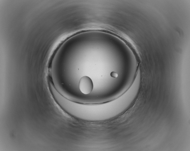 X0000110871472200906181152