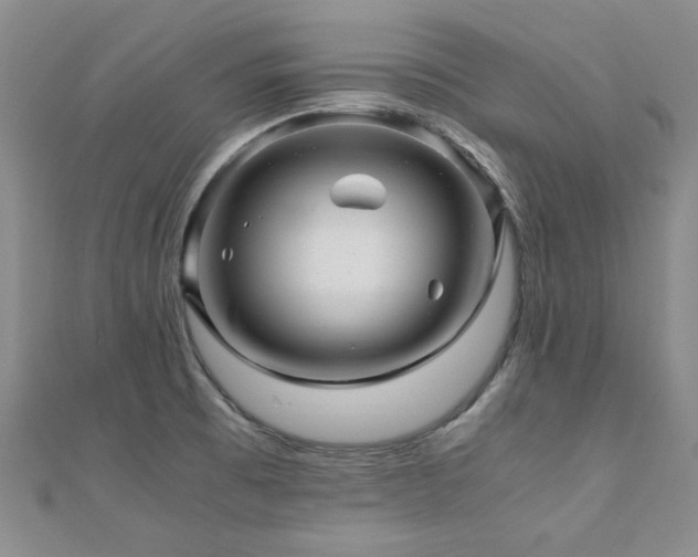 X0000110871473200906181152