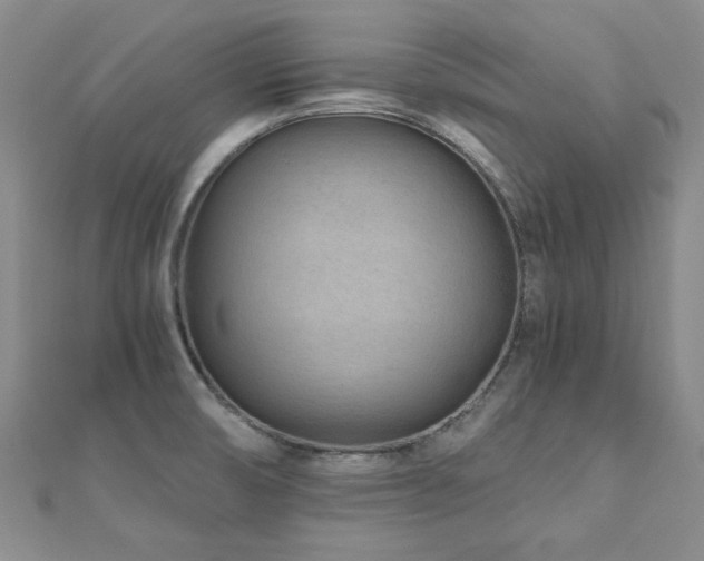 X0000110871474200906181152