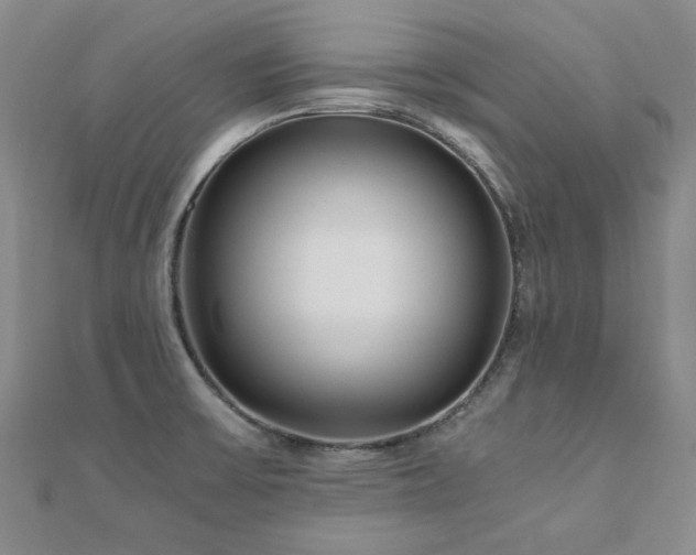 X0000110871475200906181152