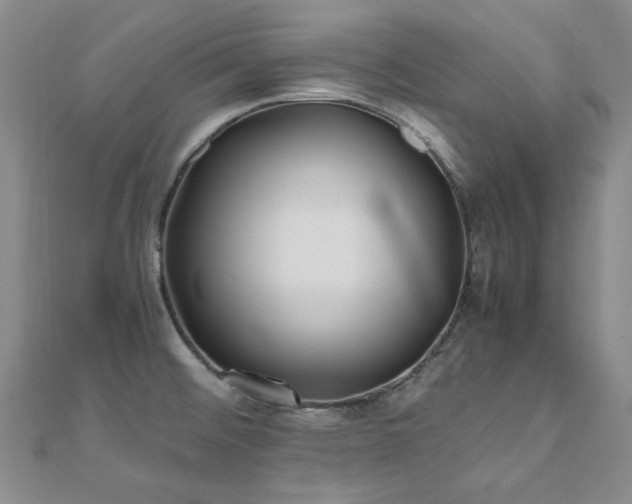 X0000110871476200906181152