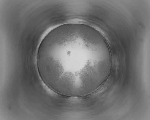 X0000110871478200906181152