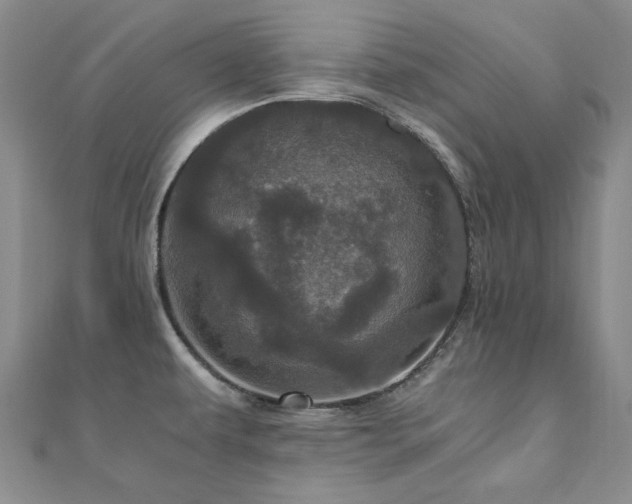 X0000110871479200906181152