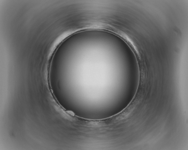 X0000110871480200906181152