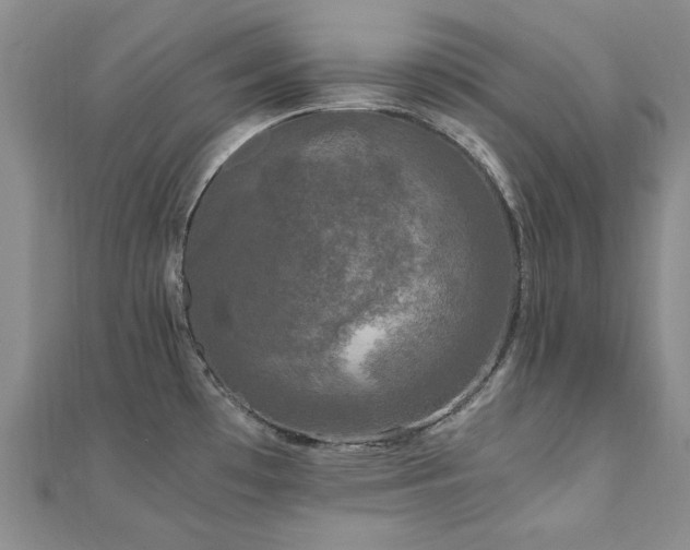 X0000110871481200906181152