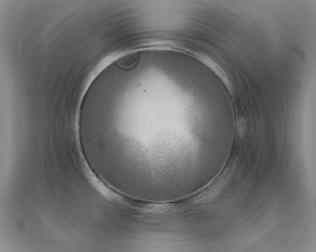 X0000110871482200906181152