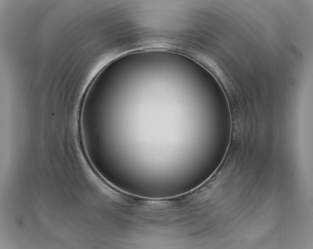 X0000110871483200906181152