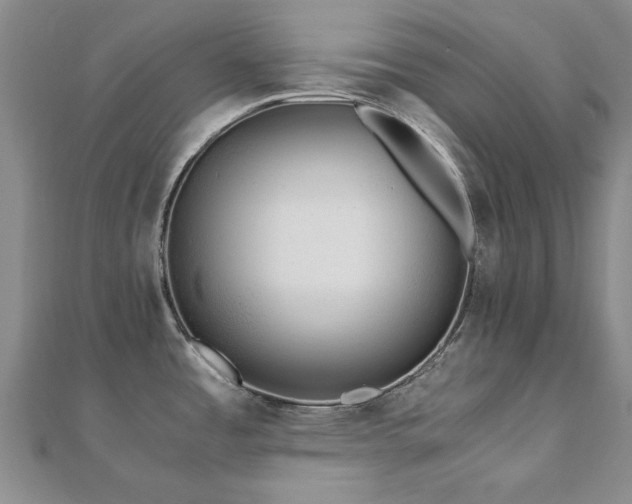 X0000110871485200906181152