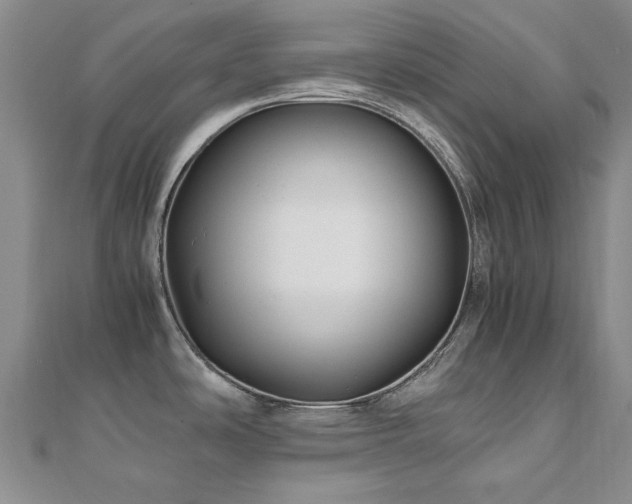 X0000110871486200906181151