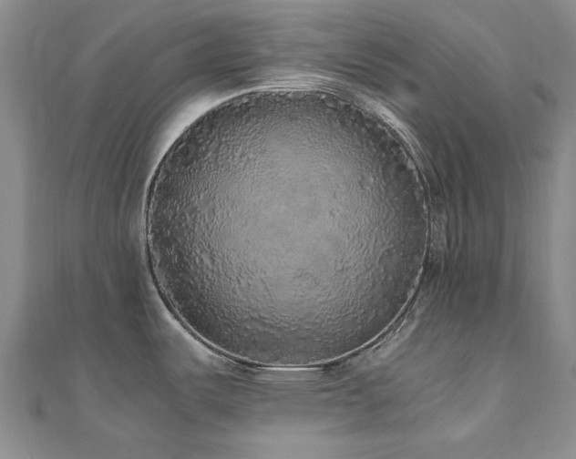 X0000110871487200906181151