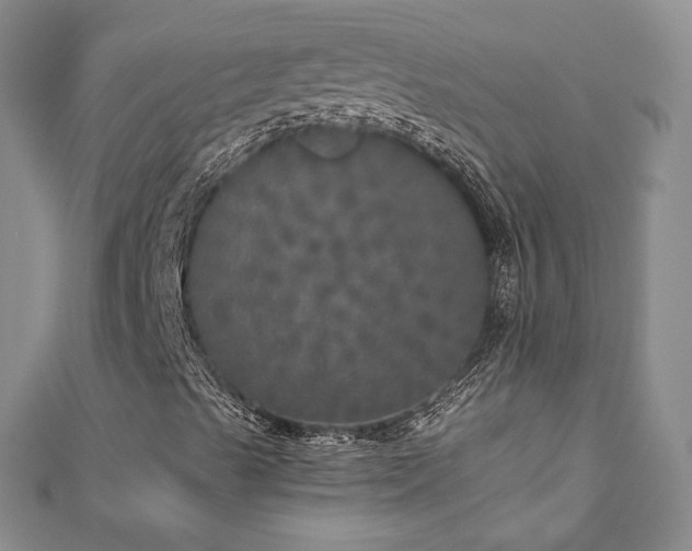 X0000110871489200906181151