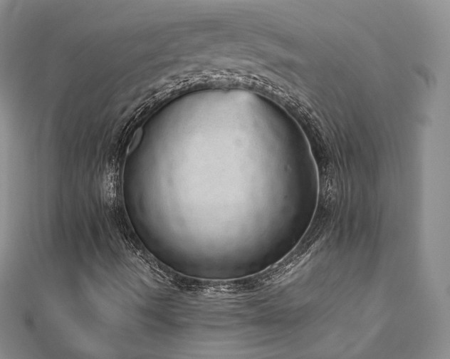 X0000110871490200906181151