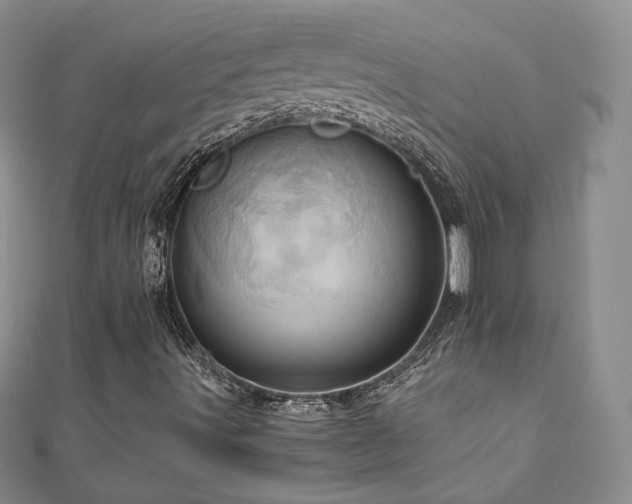 X0000110871491200906181151