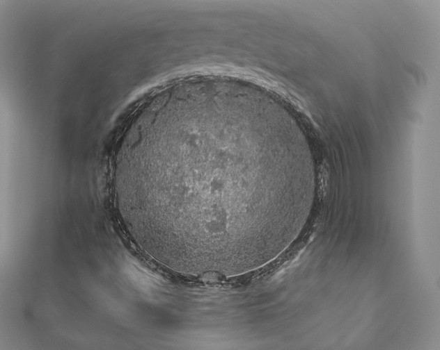 X0000110871494200906181151