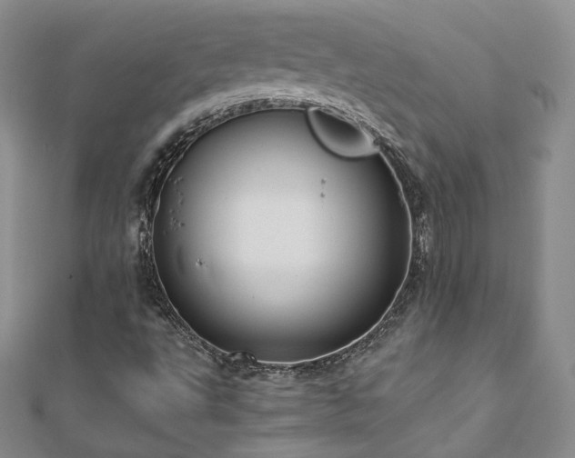 X0000110871495200906181151