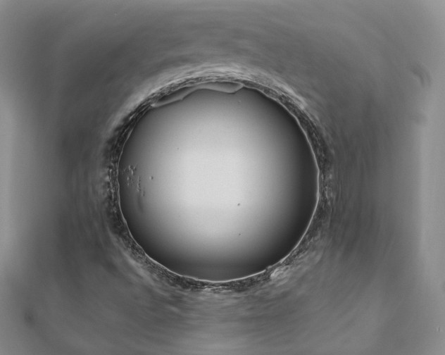 X0000110871496200906181151