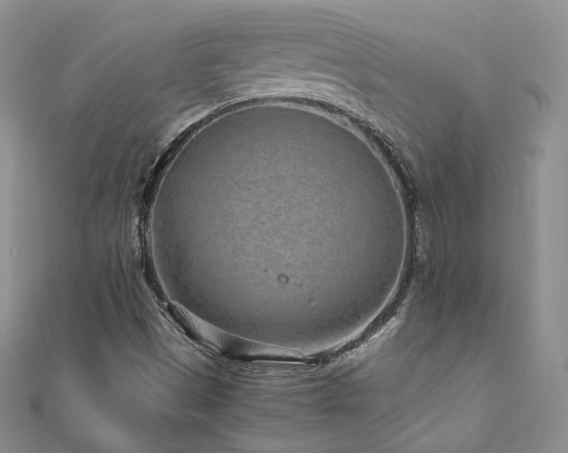 X0000110871497200906181151