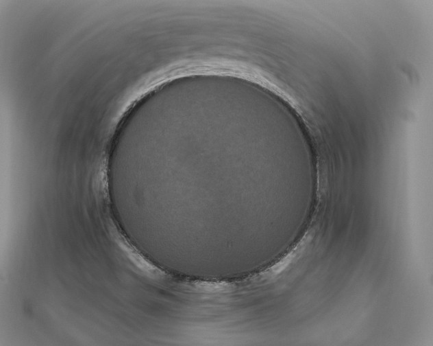 X0000110871498200906181151